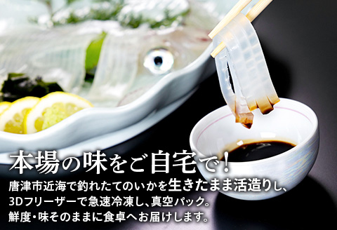 訳あり 唐津呼子産いか活造り 1杯(約200g以上) 急速冷凍 新鮮そのまま食卓へ！イカ 刺身 簡単 ギフト