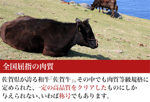 厳選佐賀牛 ももスライス500g×2パック(合計1kg) すき焼きしゃぶしゃぶに最適！