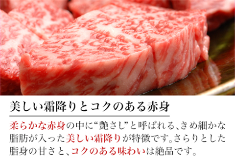 佐賀牛赤身ステーキ 900g 焼肉 ギフト