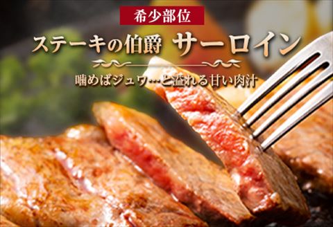 「定期便全12回」佐賀牛サーロイン1kg(250g×4枚)寄附翌月から発送