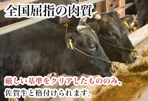 佐賀牛ロースステーキ 200g×2枚(400g) 牛肉 ステーキ 焼肉 BBQ