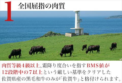 佐賀牛 モモ切り落とし(800g) すき焼き しゃぶしゃぶ 赤身 ギフト