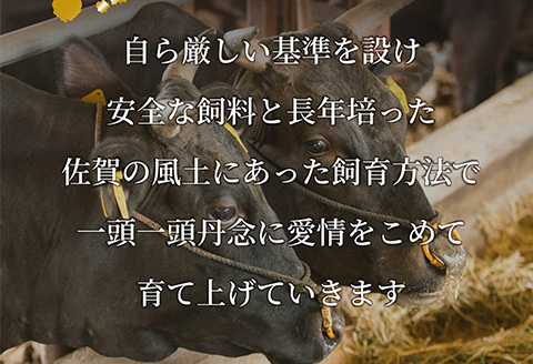 艶さし!佐賀牛サーロインブロック 1kg 肉 牛肉 ステーキ 焼肉 BBQ ギフト アウトドア 「2024年令和6年」