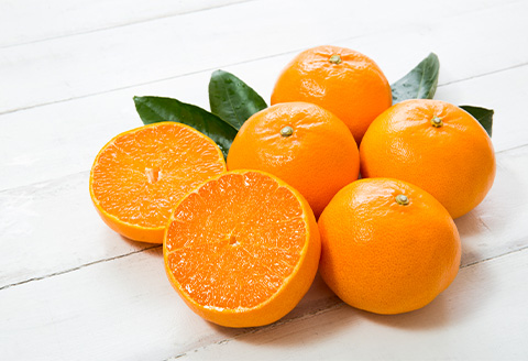 『先行予約』【令和8年1月下旬発送予定】唐津産 せとか 3kg 化粧箱 みかん ミカン オレンジ フルーツ 果物 ギフト