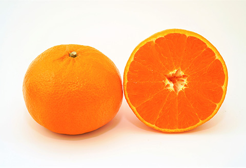 『先行予約』【令和8年1月下旬発送予定】唐津産 はまさき 3kg 化粧箱 みかん ミカン オレンジ フルーツ 果物 ギフト