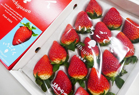『先行予約』【1月中旬より順次発送】佐賀県唐津市「いちごさん」化粧箱 470g いちご 苺 イチゴ 化粧箱 ギフト
