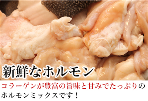 和牛もつ鍋セット 佐賀産和牛ミックスホルモン 320g×2個(合計640g) 味噌と醤油味の鍋スープ 2種 ギフト