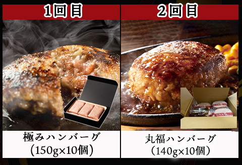 「全6回定期便」唐津大人気ハンバーグ定期便 黒毛和牛 手ごね 佐賀牛 食べ比べ