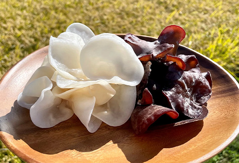 ノウフクJAS認証 乾燥きくらげ 2種セット(しろかがみ30g・くろかがみ35g) 唐津市産 キクラゲ 木耳 きのこ 食物繊維  和食 中華 洋食 料理