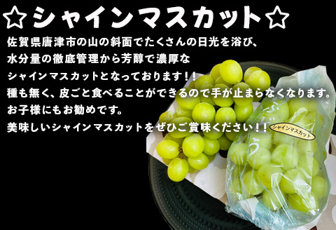 『先行予約』【令和8年9月上旬より順次発送】シャインマスカット1.5kg 2～3房 葡萄 ぶどう 果物 フルーツ スイーツ