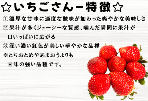 『先行予約』【令和8年5月より順次発送】苺好きが夢中！苺感たっぷりプレミアム苺アイスクリーム 8個入 スイーツ カップ デザート 氷菓子 いちご イチゴ ミルク
