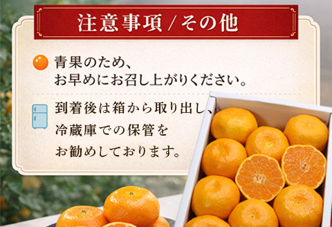 『先行予約』【令和8年3月上旬より順次発送】◎にじゅうまる◎ 5kg 佐賀県産【高級柑橘みかん】果物フルーツ 柑橘