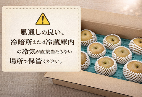『先行予約』【令和8年7月上旬より順次発送】唐津産 梨 5kg【旬の味覚】果物 フルーツ 幸水 豊水