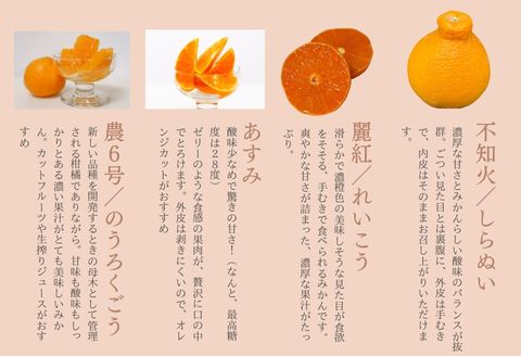 『先行予約』【令和8年1月中旬発送】唐津産ハウス育ち柑橘セット 2.5kg 手提げ箱 (麗紅・あすみ・不知火・農6号の中から2〜4種) 品種おまかせ 〜海と空と、みかん〜 ミカン フルーツ 柑橘 ギフト