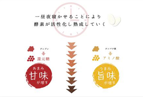 令和7年産 (熟成米) 賀県唐津産 特別栽培米 夢しずく 5kg×2(合計10kg）ご飯 ごはん 白米 お米 コメ
