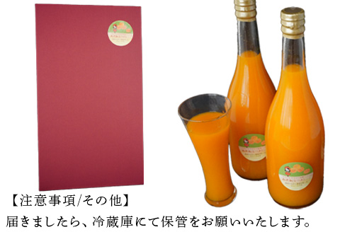 南津海(なつみ)100% 720ml×2本セット みかんジュース 飲料 飲み物 ソフトドリンク 蜜柑 ミカン オレンジジュース