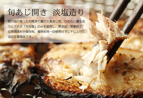 唐津産【無添加・無着色】旬アジ 干物セット 手造り 唐津こだわりの唐津産旬アジ開き（淡塩造り）（醤油みりん干し） 各5枚入