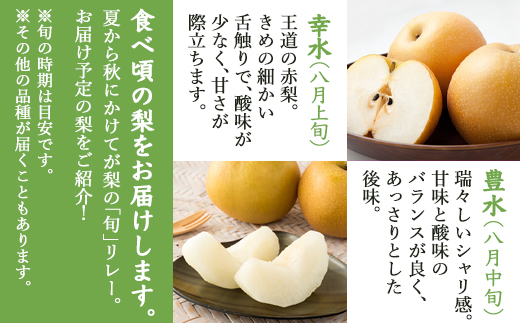 『先行予約』今が食べ頃 特栽 旬の梨5kg【令和8年の夏ごろの発送】和梨 幸水 豊水 新高 あきづき 愛宕 果物 フルーツ くだもの