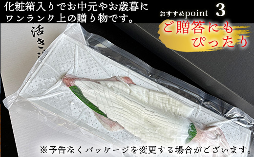 『先行予約』呼子のいか活造り1杯! コリコリ甘い鮮度抜群の透明感! 約250g 刺身 ギフト 冷凍※水揚げあり次第5月以降順次発送させていただきます。