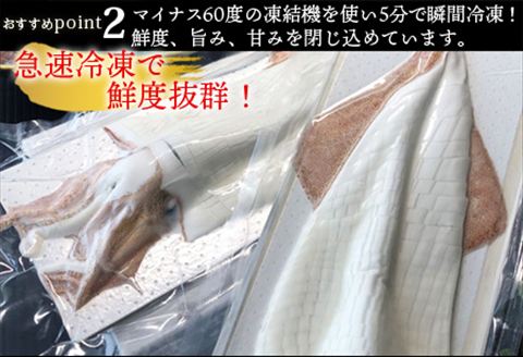 呼子のいか活造り2杯! コリコリ甘い鮮度抜群の透明感! 約250g×2(合計約500g) 刺身 ギフト 冷凍