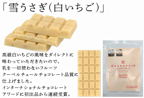 グランポワール 低GI 無添加 ビーントゥバーチョコレートミニサイズセット9g×6種･カカオニブス1袋×60g (合計114g) 乳/小麦/白砂糖不使用 糖質カット ヴィーガン対応 スイーツ ギフト