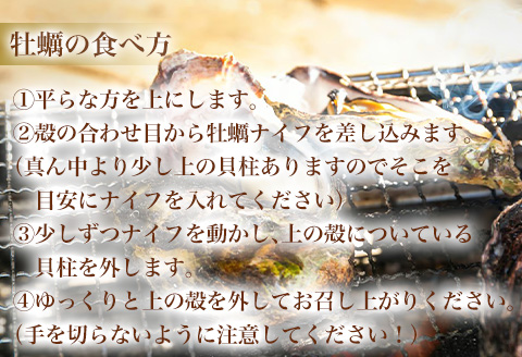 『先行予約』【12月中旬より順次発送】唐津産 殻付きいろは牡蠣 6kg(軍手・ナイフ付)期間限定 産地直送 殻付き 牡蠣 カキ 殻付き牡蠣 佐賀県 海鮮 BBQ 加熱用 お取り寄せ 贈り物 冬ギフト ギフト