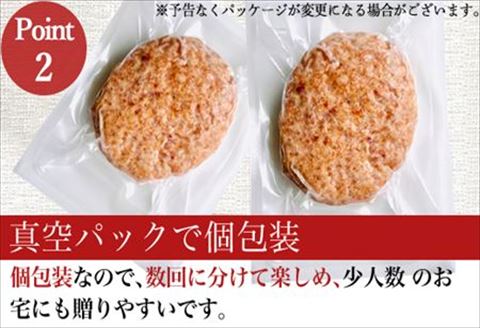 唐津バーグ8個とガーリックソースのセット 冷凍 真空パック 惣菜 特上ハンバーグ 小分け 個包装 にんにく 8個