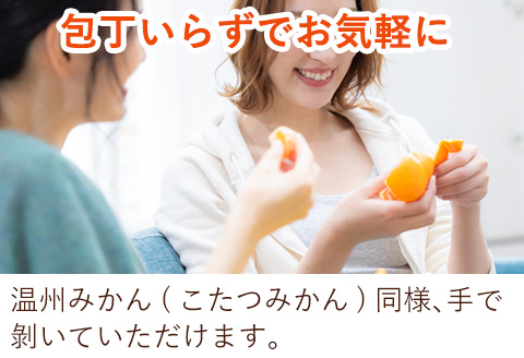 『先行予約』【令和8年1月下旬発送】麗紅(れいこう）ハウス栽培 唐津産 5kg 混合サイズ みかん 蜜柑 柑橘 果物 フルーツ