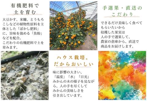 『先行予約』【令和8年6月より順次発送】夏の極上ハウスみかん「夏織」2.5kg 手提げ箱入り～海と空と、みかん～甘くてとろける夏の果物 ミカン フルーツ 柑橘 ギフト