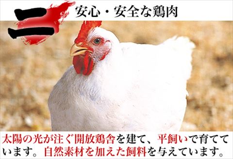 唐津市産 若鳥もも肉4kgセット 鶏肉 唐揚げ 親子丼 お弁当