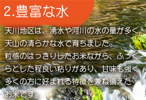『先行予約』【令和6年産】特別栽培米 【一等米】 唐津市天川産 こしひかり 5kg×2 (合計10kg) 減肥減農薬で育てた特別栽培米をお届け たんぱく質が少なく食味が良いお米