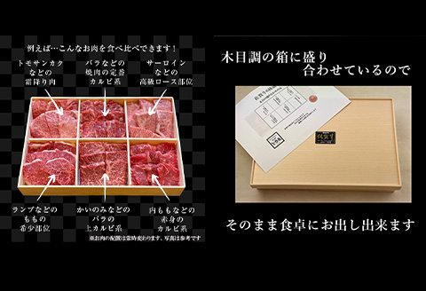 父の日」佐賀牛希少部位100g×6種類(合計600g) にくのともる厳選 焼肉用 A5～A4等級 食べ比べ ギフト キャンプ:  唐津市ANAのふるさと納税