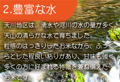 『先行予約』【令和6年産】特別栽培米 【一等米】 唐津市天川産 こしひかり 5kg 減肥減農薬で育てた特別栽培米をお届け たんぱく質が少なく食味が良いお米