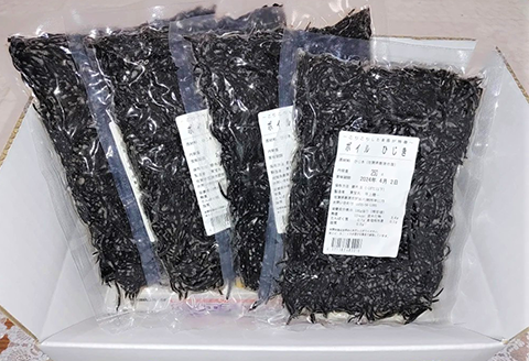 コリコリ食感 新芽のヒジキ(ボイル済) 250g×4パック(合計1kg) ひじき 真空パック 冷凍 煮物 サラダ 海藻