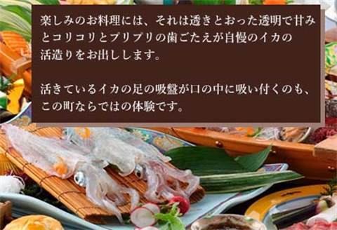 平日限定2名様素泊りご宿泊券 旅行 ギフト