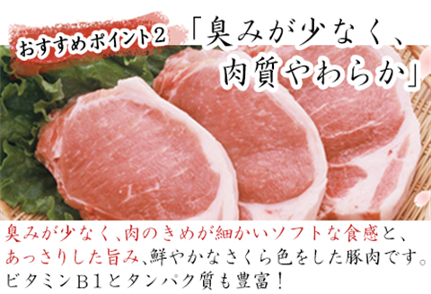 肥前さくらポーク小間切れ 200g×5パック(合計1kg) 豚肉 炒め物 冷凍 (鮮度へのこだわり工夫あり！)