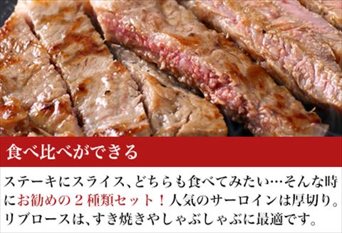 厳選佐賀牛 サーロインステーキ180g リブローススライス300g 2種(合計480g)セット「2024年 令和6年」