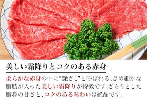 佐賀牛すきしゃぶ赤身スライス 1kg 牛肉500g×2パック(合計1kg) すきやき・しゃぶしゃぶ用・スライス和牛