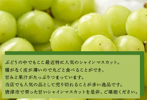 『先行予約』【令和8年8月中旬発送予定】甘みがギュッ!と詰まったシャインマスカット 2kg (約3～5房) 化粧箱 フルーツ 果物 ギフト