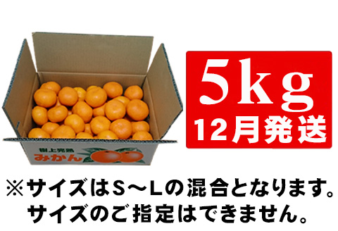 『先行予約』【12月発送】吉田みかん園の樹上完熟みかん 5kg 柑橘 ミカン 蜜柑 フルーツ 果物