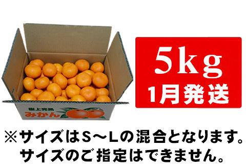 『先行予約』【令和8年1月から発送】吉田みかん園の樹上完熟みかん 5kg 柑橘 ミカン 蜜柑 フルーツ 果物