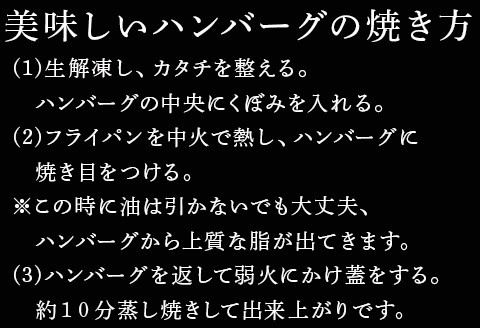 佐賀牛仕込みハンバーグ120g×2個×4Ｐ(合計8個) 総菜 ギフト