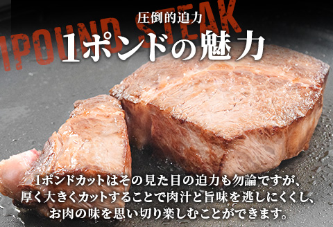 《佐賀牛》1ポンドステーキ約450g A5～A4等級限定 牛肉 ステーキ バーベキュー ローストビーフ かたまり リブロース キャンプ お取り寄せ 黒毛和牛 焼肉
