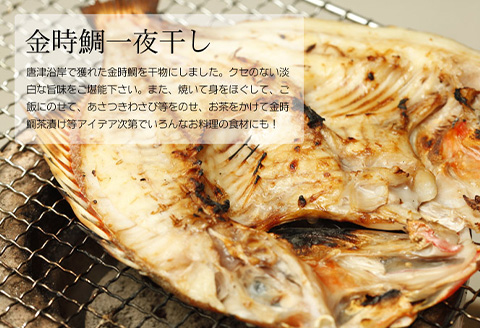 無添加・無着色・手造り 唐津産 『初めての唐津旬の干物5種10尾セット』唐津産真アジ醤油みりん干し、唐津産真サバひもの、唐津産季節の旬の白身魚一夜干し、真イワシ丸干し、トロあじ開き 干物 酒の肴 贈答