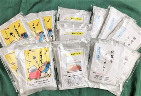 佐賀牛スジカレー5個・イタリアンカレー5個・佐賀牛煮込みハンバーグ3個セット 地元産の肉と野菜 レトルト 簡単調理