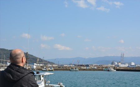 天然ぶりかま一夜干し ハーフ2食×4袋(合計800g) おかず おつまみ