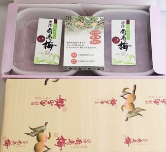唐津七山 南高梅大粒減塩しそ味 500g×2(合計1kg)「irodoriからつ四季の返礼品」山間から湧き出る澄んだ水をふんだんに含んだ土壌で栽培