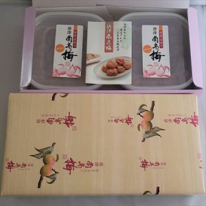 唐津七山 南高梅大粒はちみつ味 500g×2(合計1kg)「 irodoriからつ 四季の返礼品」山間から湧き出る澄んだ水をふんだんに含んだ土壌で栽培