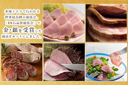 トンネル氷零下熟成ハム・ソーセージセット TPC-2  詰合せ おかず おつまみ サラミ 生ハム ベーコン セット ギフト