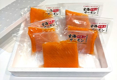 玄海サーモン 柵(80g×5P) 刺身用 サーモントラウト 小分け